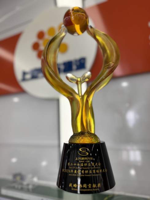 2024年度战略协同保障奖